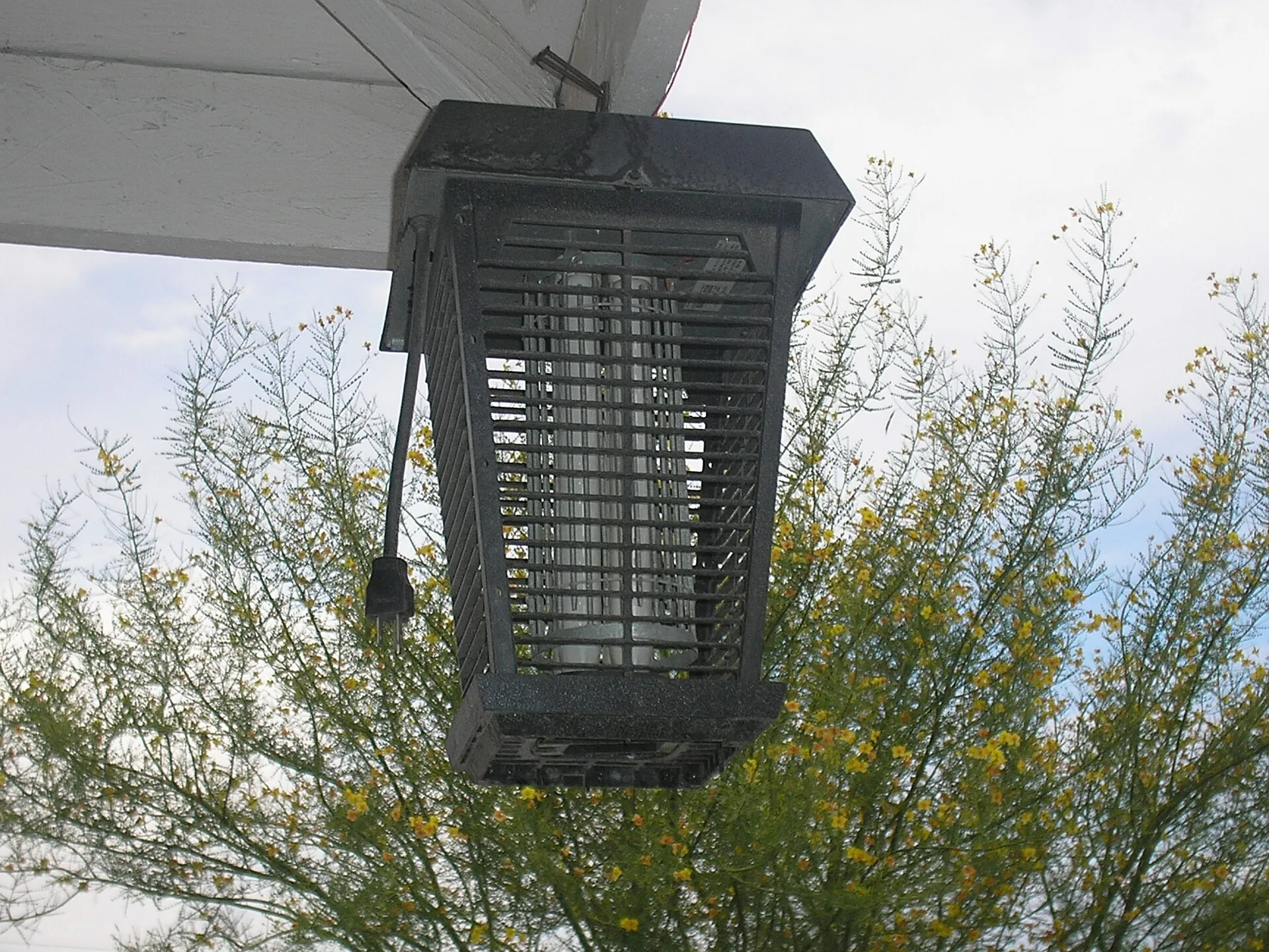 Désinsectiseur électrique en forme de lanterne, suspendu sous un avant-toit : grille noire autour d'un tube lumineux