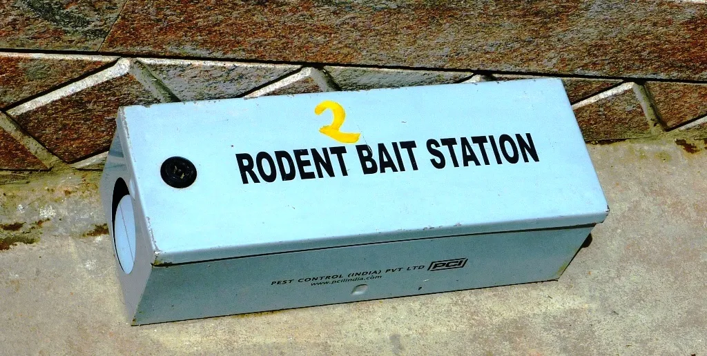 Poste d’appâtage fermé, en métal peint, portant le numéro 2 et l’inscription Rodent bait station, posé contre un mur