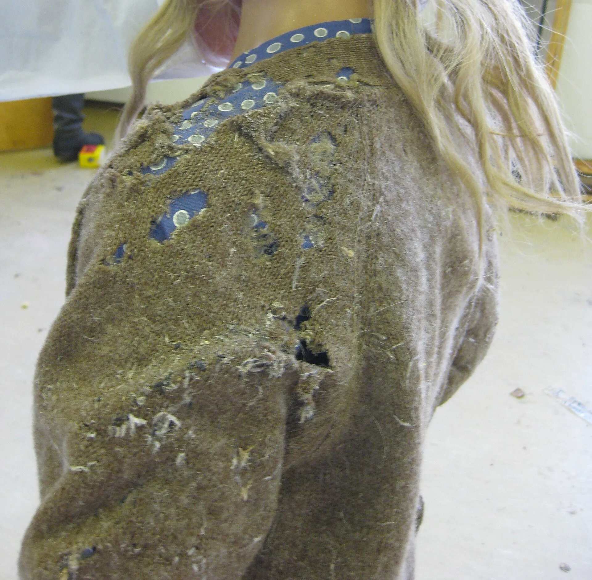 Dos d'une veste en laine brune très rongée par des mites : grands trous laissant voir la doublure, laine grignotée, fils de soie et cocons